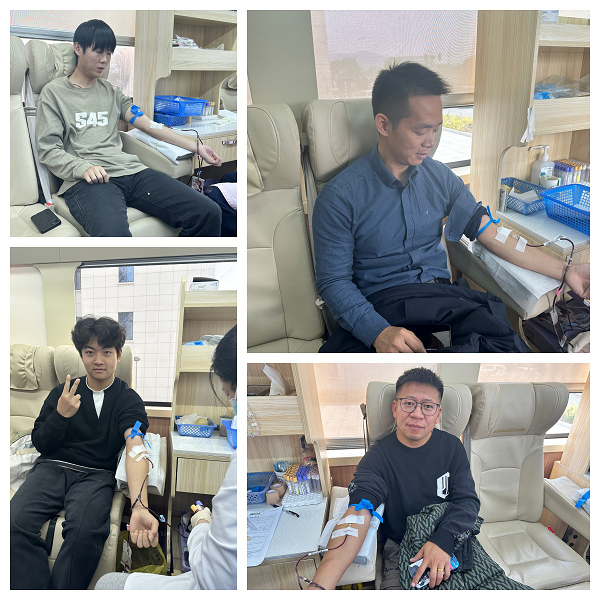 1766132790592641.png 1200_1200Q50.png